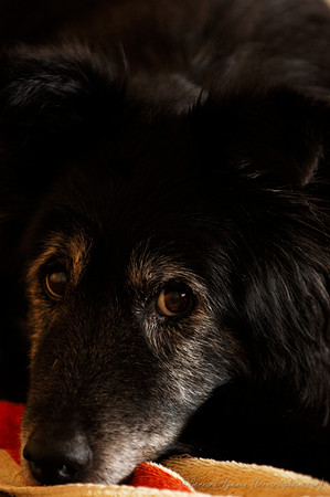 D70_21646.jpg