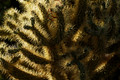 D70_27461