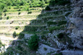 D300_134602