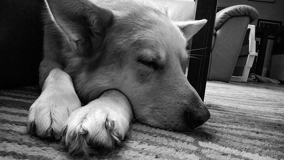 AdobePhotoshopExpress_aebd1b39ce634002a2192cbe484cdbe1