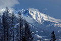 D70_20919.jpg