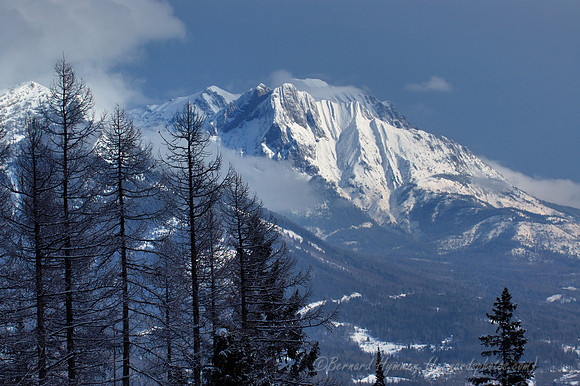 D70_20919.jpg