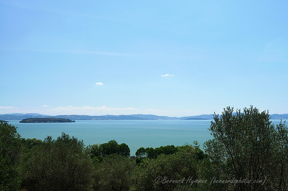 D300_135493