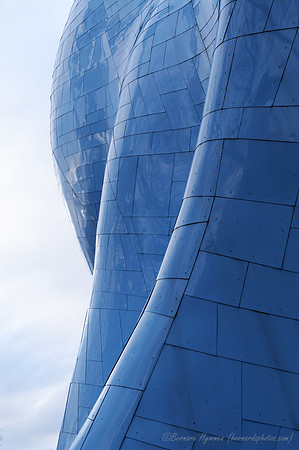 D300_62520