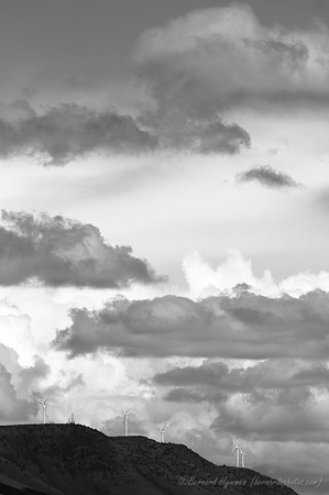 D300_96345