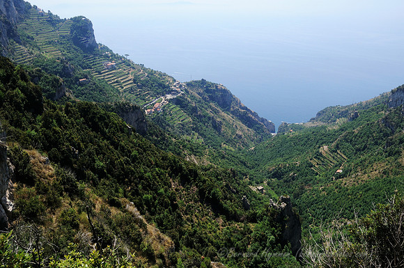 D300_134633