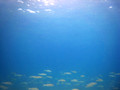 SD800_58193