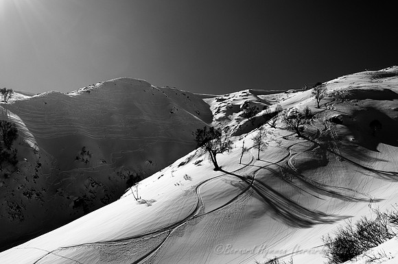 D300_69172