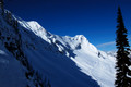 D70_20850.jpg