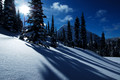 D70_20836.jpg
