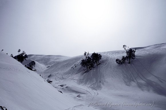D300_69746