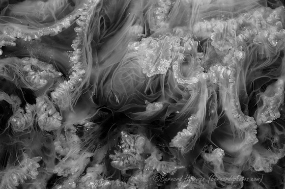 Hubble on the Beach (D300_37366)