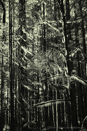 D300_57107