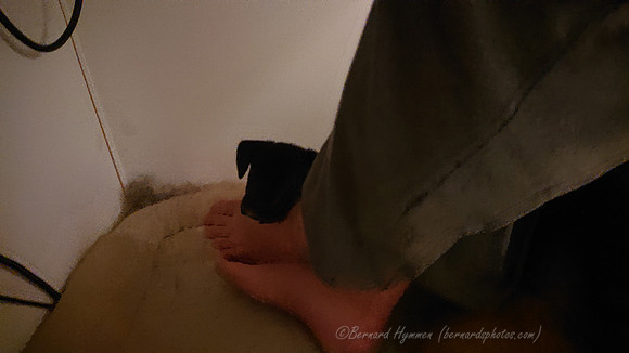 XZ2_176319