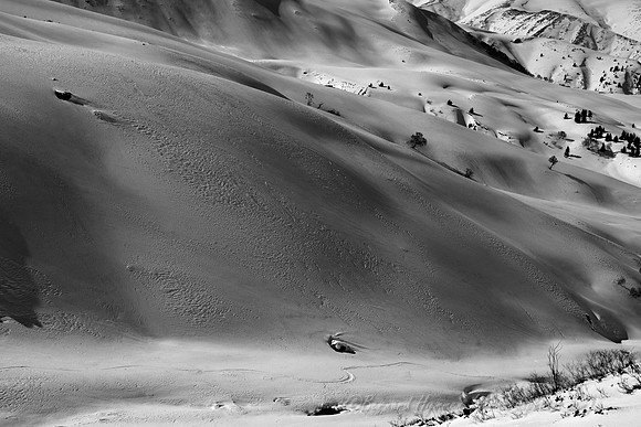 D300_69292