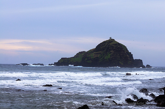 D300_126186