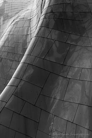 D300_62521