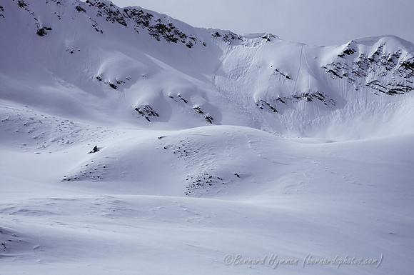 D300_69741