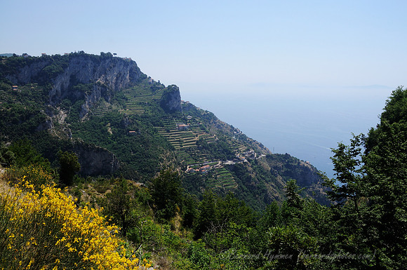 D300_134644