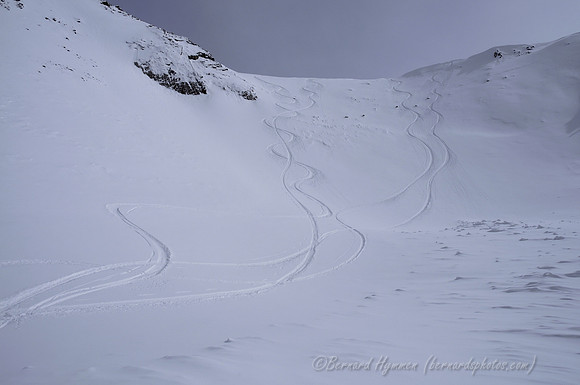 D300_69732
