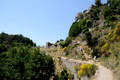 D300_134643