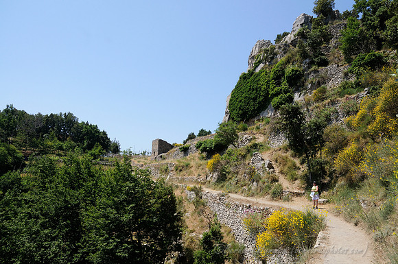 D300_134643