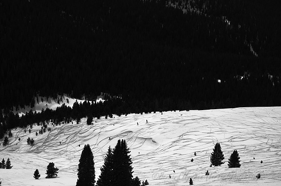 D300_120320
