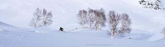 D300_70251