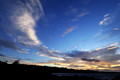 D300_125289