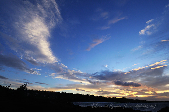 D300_125289