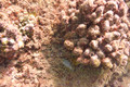 1 AW1_127623