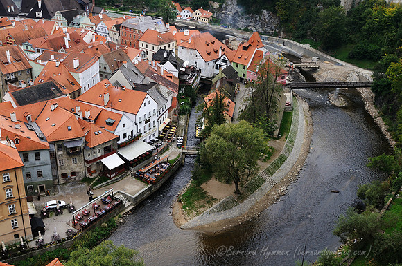 D300_73996