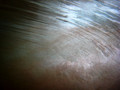 SD800_57973