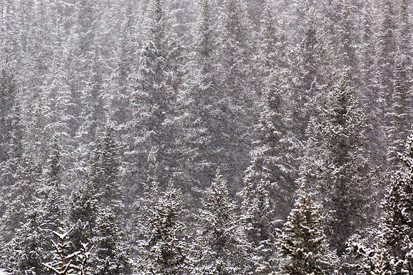 D70_21200