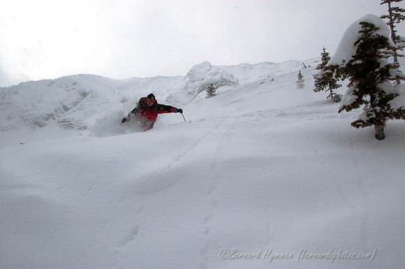 D70_20935.jpg