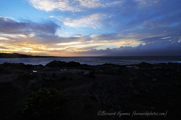 D300_125283