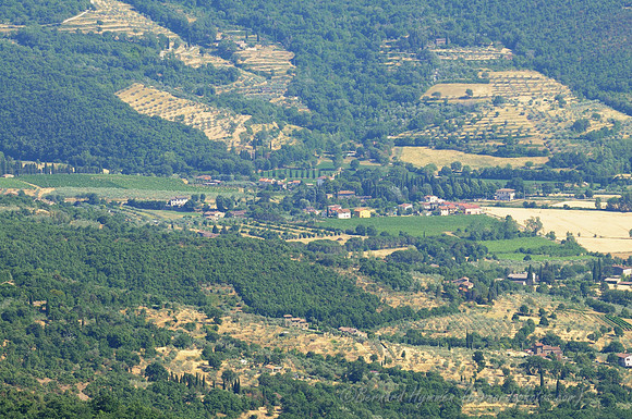 D300_135923
