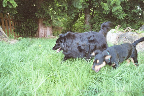 9QUV_027.JPG