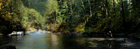Fall