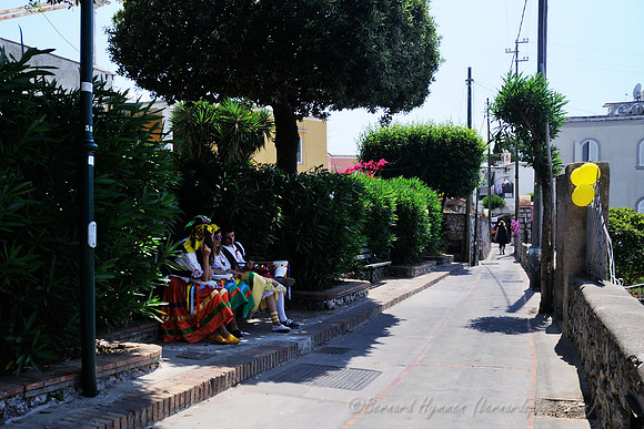 D300_135393