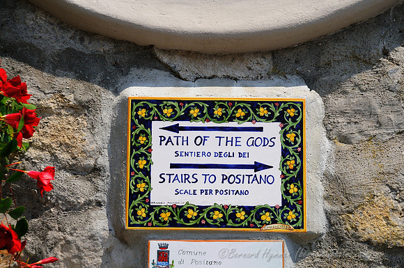 D300_135060