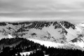 D70_14103