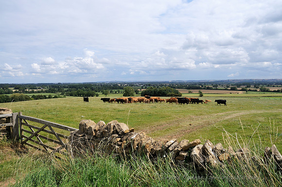D300_99813