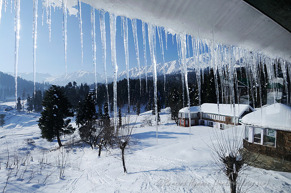 D300_69770