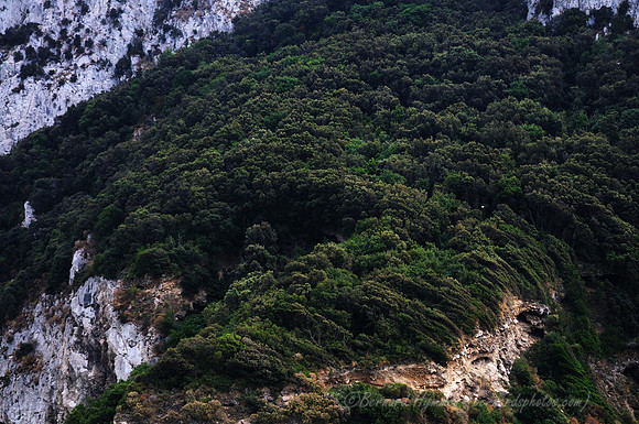 D300_135433