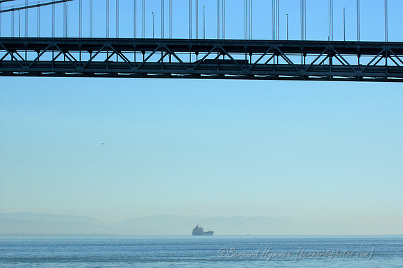 D70_22502