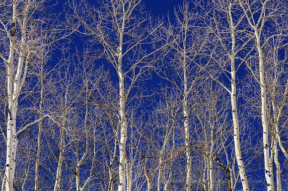 D300_120087