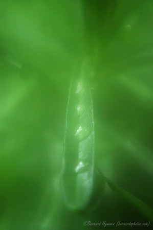 D70_21929
