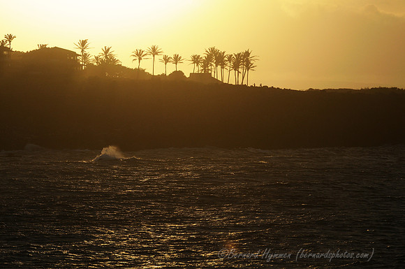 D300_125241