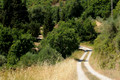 D300_135854